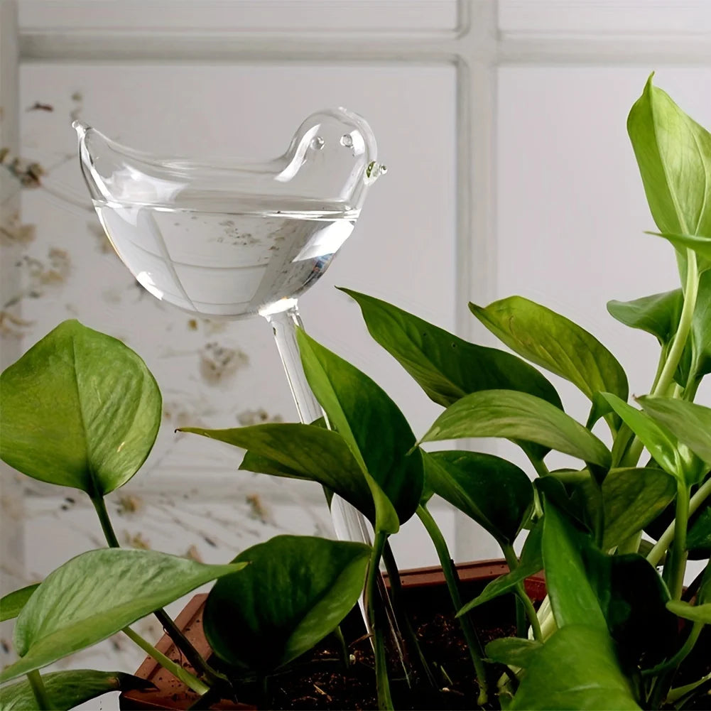 Pack of 5 bird-shaped self-watering globes, perfect for automatic flower watering