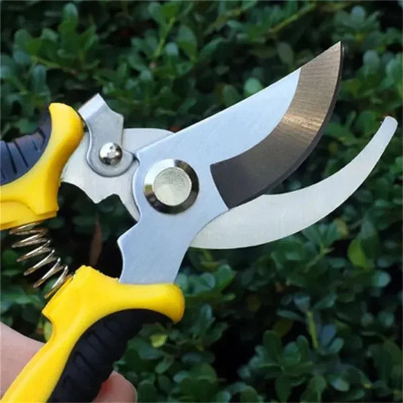 Professional pruning shears