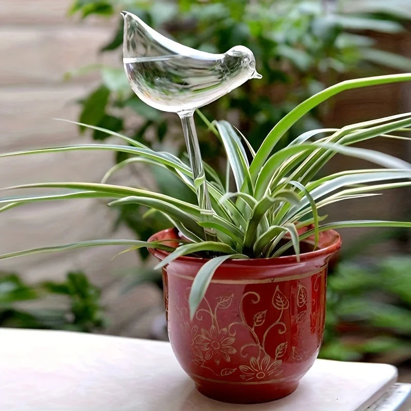 Pack of 5 bird-shaped self-watering globes, perfect for automatic flower watering